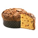 ALBERTENGO PANETTONE Tradycyjna Włoska Babka z Glazurą Box 1kg