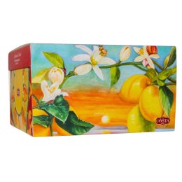 COSTA DOLCI PANETTONE z Trzema Winogronami Babka Ciasto Włochy 1kg