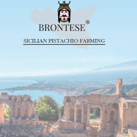 Krem MIGDAŁY 100% pasta Prima Scelta włoska BRONTESE z Sycyli 3kg WYPRZEDAŻ Krem MIGDAŁY 100% pasta Prima Scelta włoska BRONTESE z Sycyli 3kg WYPRZEDAŻ